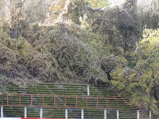 Das Stade Buraufosse